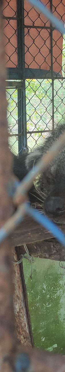 Dong Tam Snake Farm-周城县