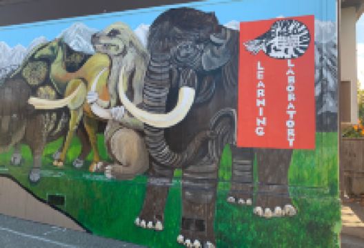 Natural History Museum景点图片