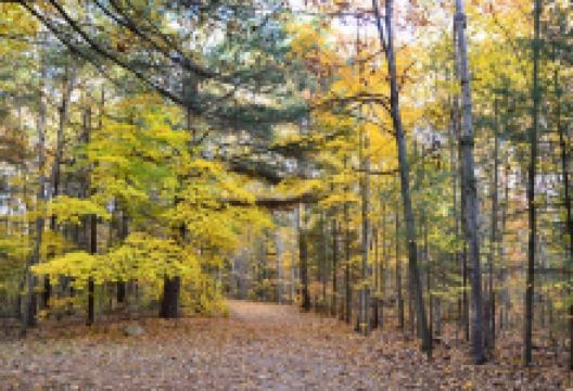 Historic Fort Willow景点图片