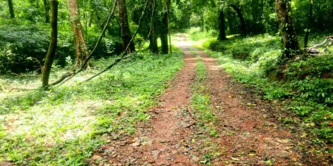 Aralam wildlife sanctuary