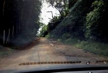 Fazendinha Dos Pequeninos景点图片