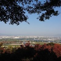 八幡市图片
