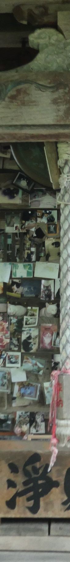 Cat's Shrine-高畠町