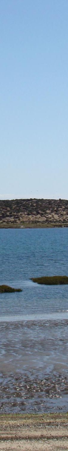 Reserva Natural Isla de los Pajaros-别德马