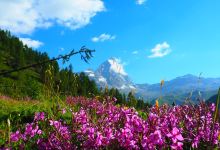 Lago di Cignana景点图片