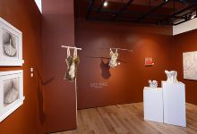 Sivarulrasa Gallery景点图片