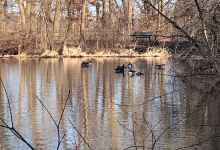 Emily Oaks Nature Center景点图片