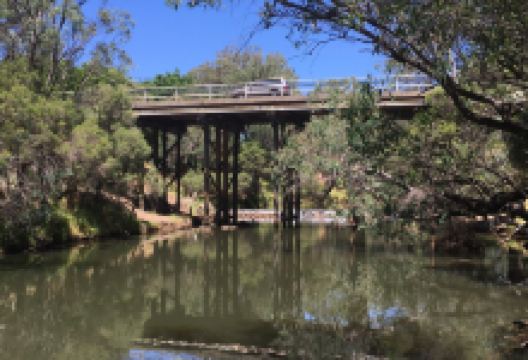 Cantwell Park景点图片