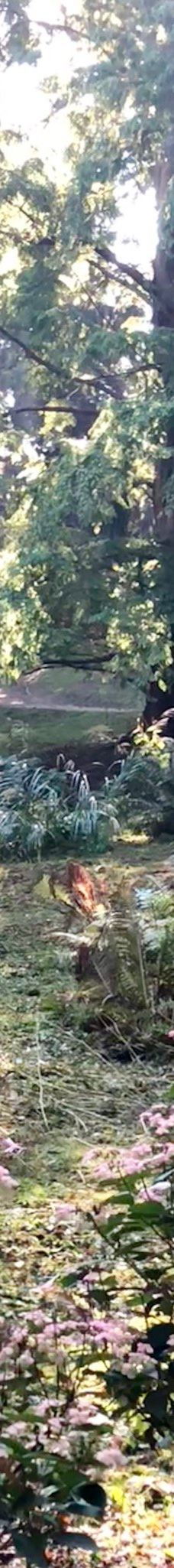 Alter Botanischer Garten-基尔