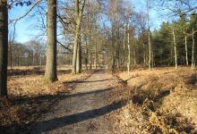 Foret d'Ermenonville景点图片
