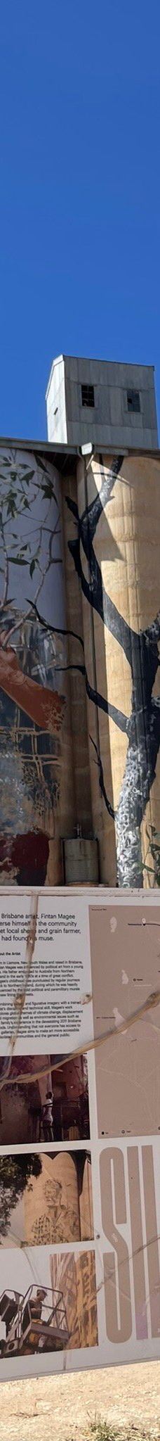 Patchewollock Silos Art-帕奇沃洛克