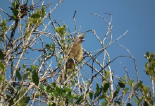 Nahoon Estuary Nature Reserve景点图片