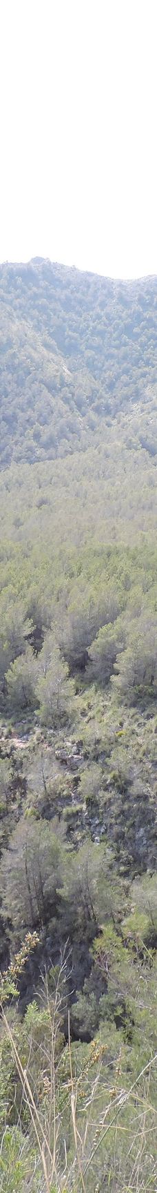 Fuente del Esparto-内尔哈