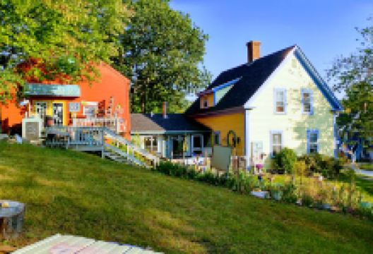 Fig Tree景点图片