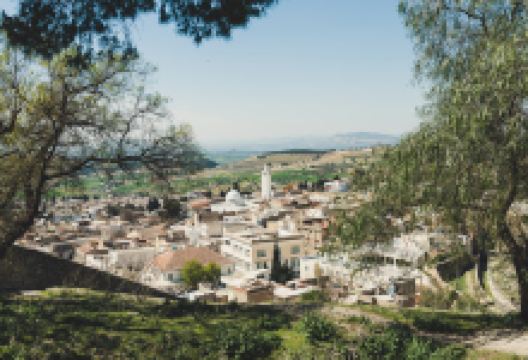 Mosque of Sidi Ali bin Saleh景点图片