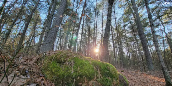 Black Farm State Management Area