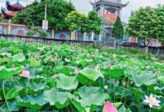 Chùa Khai Nghiêm景点图片