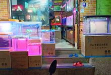 Fish Guyz Aquascapings购物图片