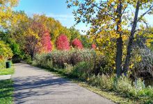 Richfield Lake Park景点图片