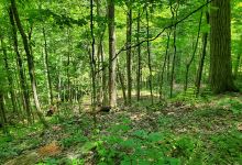 Scenic Loop Trailhead景点图片