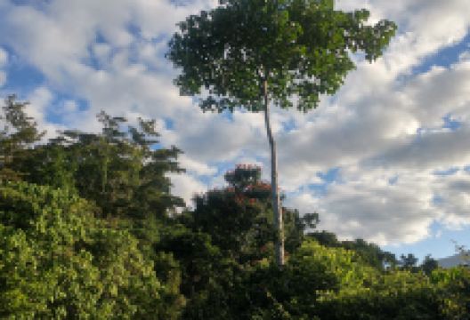 Glenoma Park景点图片