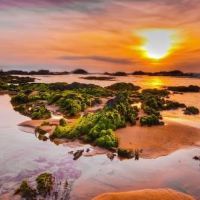 Hoai Nhon Dong图片