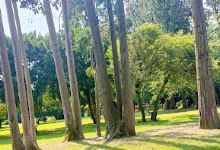 Parco di Villa Peduzzi景点图片
