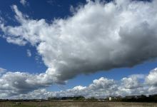 Baddow meads景点图片