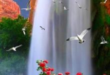 Public garden景点图片