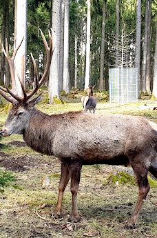 Wildgehege Meßstetten-佐勒纳尔布县