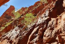 Standley Chasm景点图片