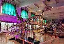 Museo de las Ciencias景点图片