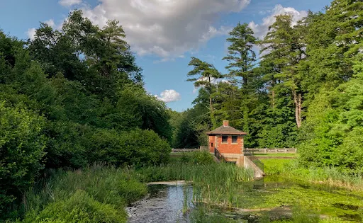 Whitehall State Park