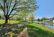 Bubeck Park景点图片