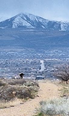 Dimple Dell Regional Park-山迪