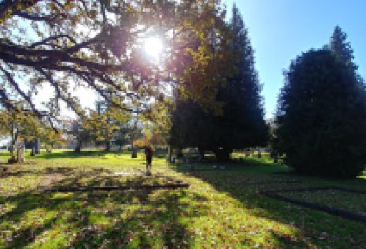 Pioneer Cemetery景点图片