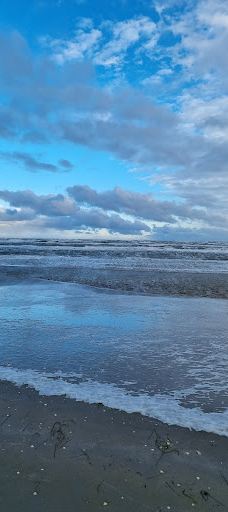 Lyngså Strand-赛比