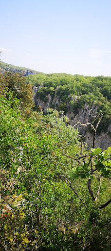 Wood Païolive-罗纳-阿尔卑斯