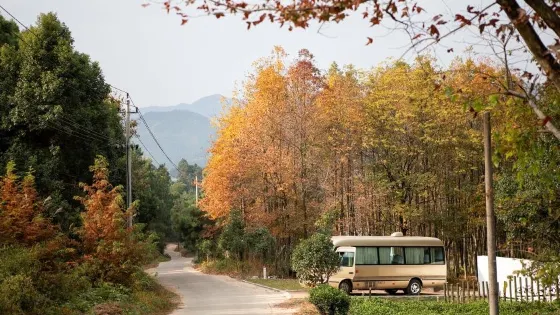 小土村主題露營基地