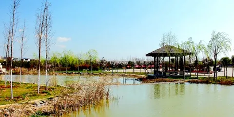 陝西富平莊裡石川河國家濕地公園