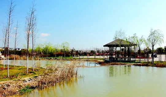 陝西富平莊裡石川河國家濕地公園