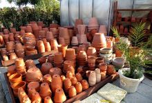 Vitogarden Kertészet购物图片