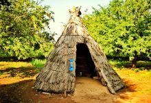 Chinch Visava Agrotourism景点图片