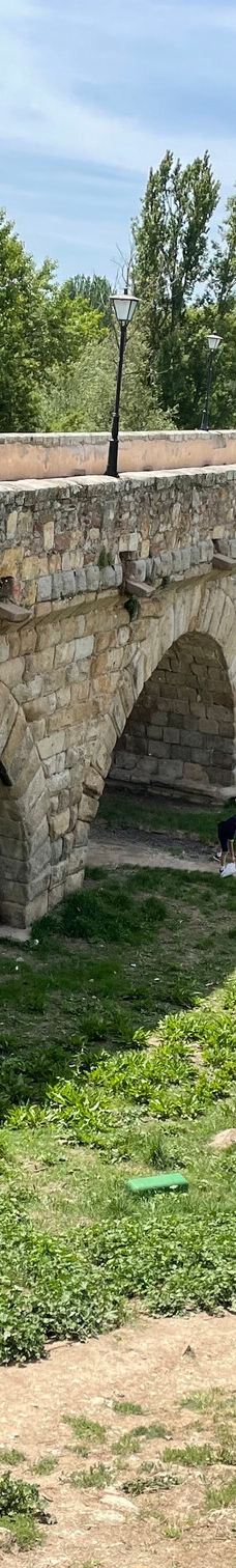 罗马古桥-萨拉曼卡