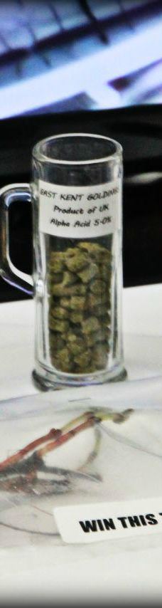 布法罗科学博物馆-布法罗