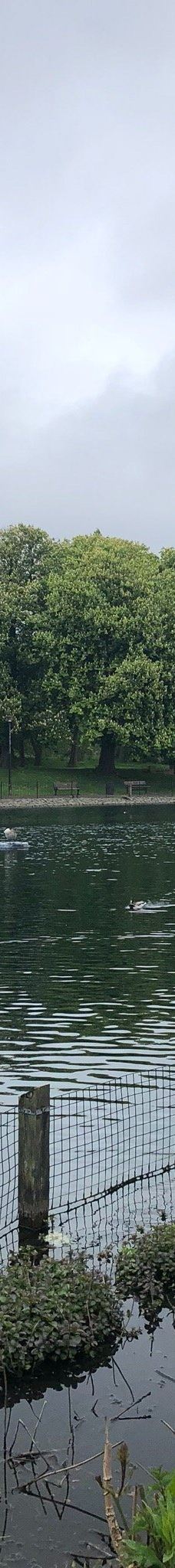 Albert Park-米德尔斯堡