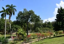 Royal Botanic Gardens景点图片