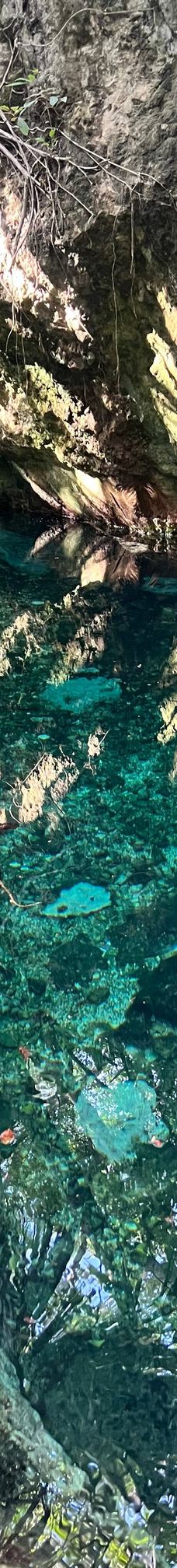 Cenote Azul-索里达瑞达德