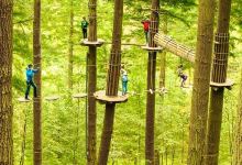 Go Ape Margam (Treetop Challenge, Zip Lines, Zip Wires, High Ropes)景点图片