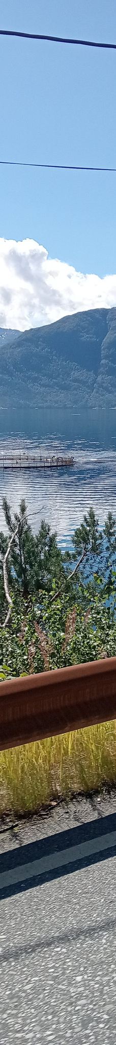 哈当厄尔峡湾-Stamnes